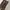 Vintage Pria brown photo 4