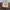 Vintage Pria brown photo 8