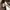 Vintage Pria brown photo 7