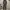 Y2K Suit Pria green photo 1