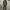Y2K Suit Pria Green