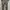 Y2K Suit Pria green photo 4