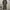 Y2K Suit Pria green photo 2