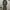 Y2K Suit Pria Green