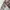 Vintage sukajan japanese classic script photo 9