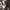 Vintage sukajan japanese classic script photo 6