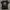 Obey Streetwear T-shirt Pria black photo 1