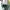 VANS Streetwear Casual Sneakers Wanita multicolor white photo 7