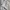 Russell Athletic Vintage Casual Hoody Pria gray photo 6