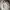 have a good time Streetwear Sportswear Hoody Pria gray photo 1