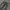 Streetwear Y2K Wide leg jeans Wanita black gray photo 3