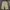 SCHOTT N.Y.C USA Khaki Chino Shorts photo 3