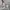  adidas Basketball Dame (Damian Lillard) Series photo 3