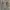 dress grunge emo alt grey ribbon  photo 6