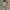 dress grunge emo alt grey ribbon  photo 5