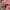 fairy coded coquette lolita kawai whimsy tops photo 6