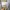 Pancoat Casual Fleece Pria gray photo 2