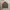 Long Sleeve Boxy Shirt Woodmind