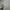 Avant Garde Sweatshirt Pria white photo 6