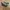 New Balance Streetwear Casual Sneakers Pria gray photo 2