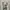 Japanese Poem City Hall Longsleeve Vkei Tornadomart Kmrii photo 2