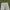 Supreme Streetwear Skater Jeans Pria white gray photo 3