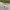 Supreme Streetwear Skater Jeans Pria white gray photo 7