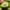 Converse CX Ash Stone Lime Twist photo 8