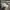 Nike Streetwear Sportswear Sneakers Pria white photo 2