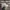 Nike Streetwear Sportswear Sneakers Pria white photo 1