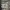 Nike Streetwear Sportswear Sneakers Pria white photo 5
