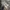Nike Streetwear Sportswear Sneakers Pria multicolor photo 3