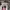 Puma Streetwear Y2K Sneakers Wanita pink photo 5