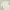 Sportswear Casual Polo shirt Pria white photo 3