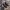 Puma Streetwear Y2K Sneakers Pria white black photo 3