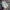 Puma Streetwear Y2K Sneakers Wanita multicolor photo 3