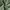 Casual Short Pria green photo 4