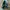 Adidas Casual Casual Shoe Pria Green Black