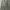 Calvin Klein Vintage Casual Bomber jacket Pria gray photo 4