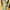 Dress Sunny Seven photo 5