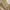 ZARA Streetwear Casual Crop top Wanita cream photo 2