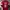 Nike Vintage Y2K Jersey Pria red photo 2