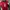 Nike Vintage Y2K Jersey Pria red photo 1