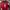 Nike Vintage Y2K Jersey Pria Red