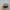 New Era Minimalist Casual Hat Pria tan brown photo 3