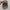 New Era Minimalist Casual Hat Pria tan brown photo 5
