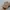 New Era Minimalist Casual Hat Pria tan brown photo 2