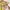 COLORBOX Coquette Casual Mini skirt Wanita purple green photo 2