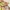 COLORBOX Coquette Casual Mini Skirt Wanita Purple Green