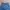 Nike Streetwear Sportswear Sweatpants & Joggers Pria blue photo 7